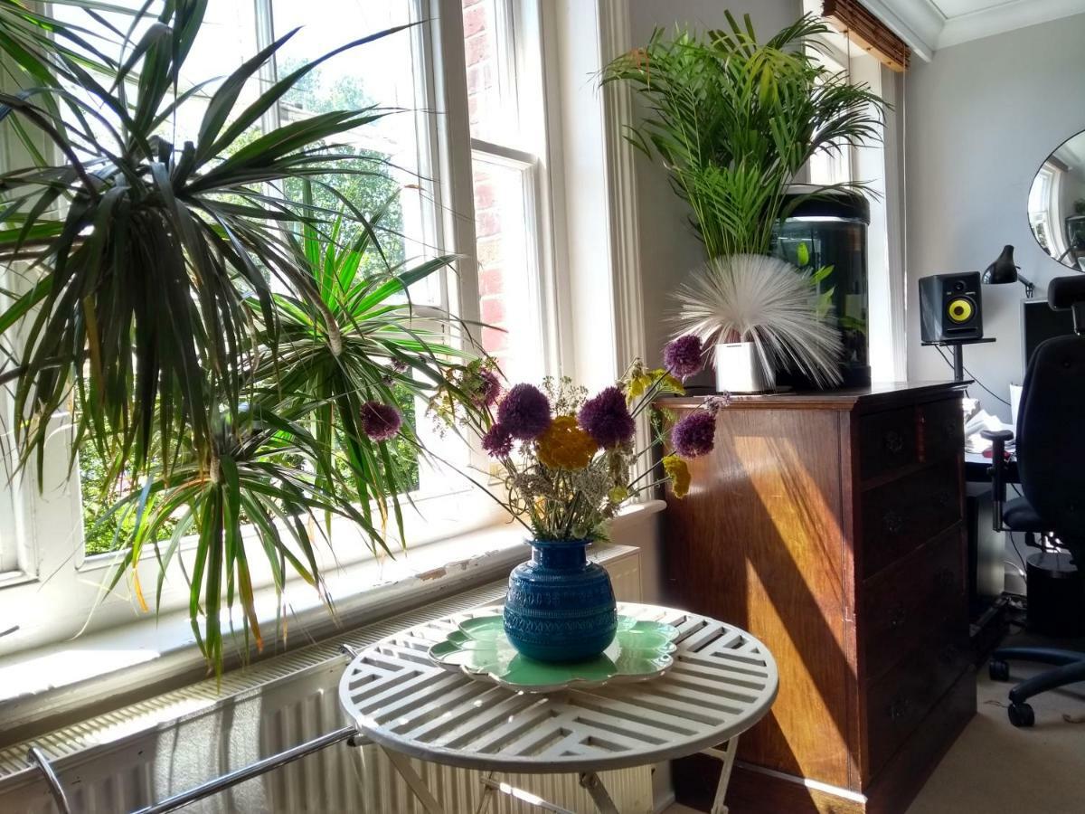 Stunning Retro Apartment In Central 布赖顿 外观 照片